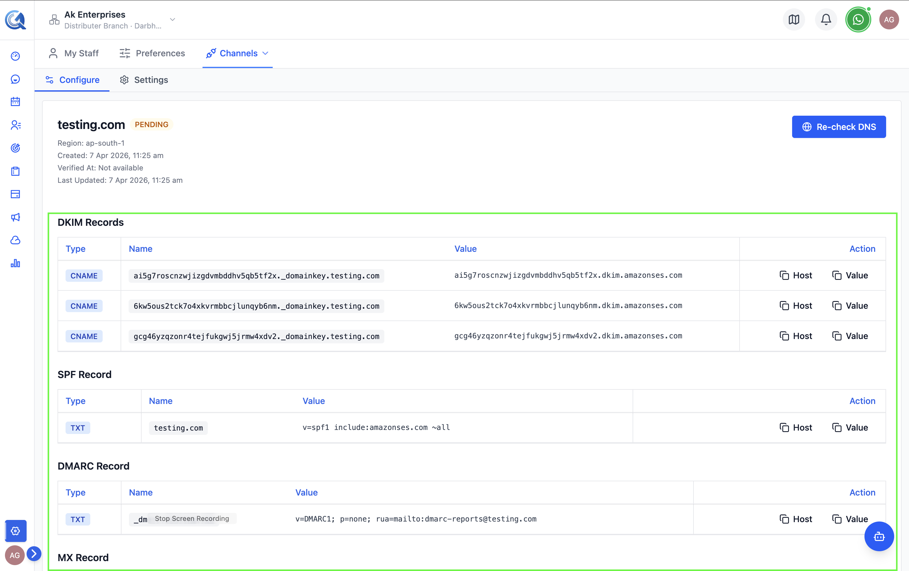 DNS records panel showing all required records for a domain